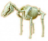 Сборная модель Eastcolight Science Time Скелет лошади